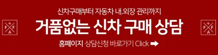 자동차 PPF 시공, 팰리세이드 생활보호 패키지 작업사례! / 인천 남동