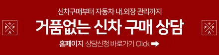 테슬라 썬팅, 주니퍼y 시공기 \