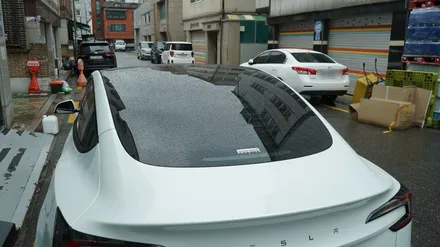 김포 테슬라 썬팅 모델3 통시공 잘해요. 가성비지만 기술은 타협 안 했음. / 서울 강서