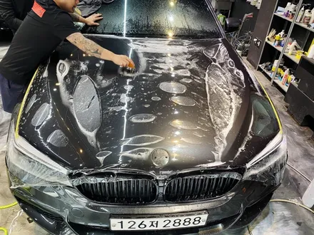 BMW 5시리즈 본넷PPF 역시 인천 포엑스포! / 인천 남동