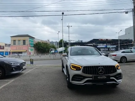 글라스틴트 선셋 농도 추천 및 가격 정리 / 경기 화성
