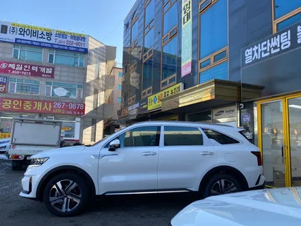 [동탄썬팅] 신차패키지 <솔라가드 퀀텀 + QXD7000> 2022 쏘렌토 시공기! / 경기 화성