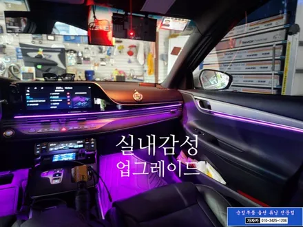 더뉴그랜저 순정 연동 실내 무드등 에이비클 엠비언트 라이트 장착하는 서울 가자카 / 양천구 신월동