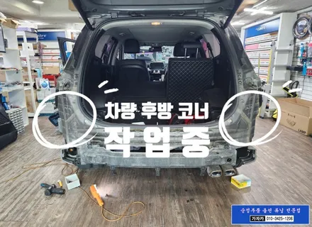 [순정품 장착] 싼타페TM 후측방 사각지대 경고장치 설치하는 서울 가자카 BCW BSD BSA 안전하차경고 까지 한번에 해결 010-3425-1206 / 서울 양천, 강서, 목동