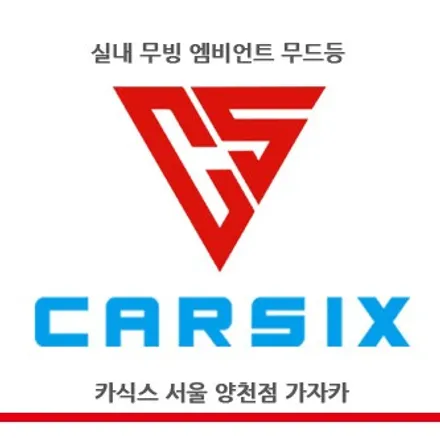 투싼 NX4 순정연동형 엠비언트 제품인 카식스 에이비클 무빙 엠비언트 시공 사례 사진 및 동영상 입니다. - 가자카 / 서울 양천, 강서, 목동