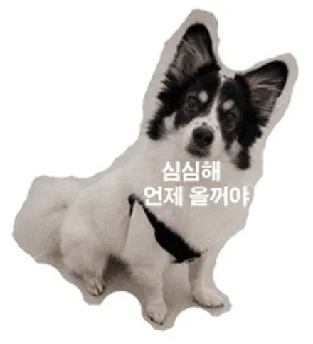 2015년식 맥스크루즈 에도 순정 전동트렁크 시스템 장착 / 서울 가자카 매일 불편했던 트렁크, 버튼 한 번으로 해결 / 양천구 신월동