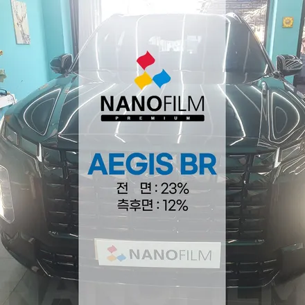 진천차썬팅전문업체 펠리세이드 나노필름 이지스br