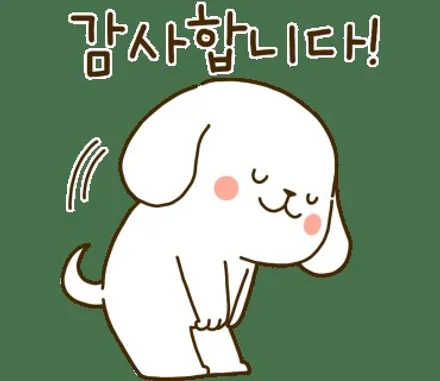 파나메라 무광PPF 및 틴팅 그리고 팰트지작업입니다. / 금천구 시흥1동