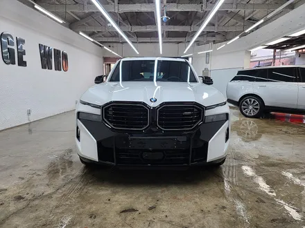 BMW XM 전체PPF 및 글라스틴트 썬팅 신패패키지 작업입니다. / 금천구 시흥1동
