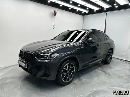 청라 BMW X4 신차패키지로 그릴랩핑,유리막코팅,PPF / 인천 서구