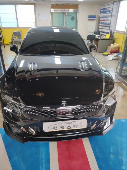 경주랩핑스타)스팅어 앞뒤 라이트 스모그ppf / 경주시 성동동