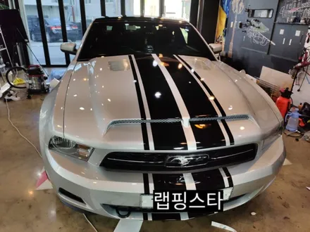경주랩핑스타)포드 머스탱 바이퍼라인 뱀데칼 / 경주시 성동동