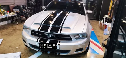 경주랩핑스타)포드 머스탱 바이퍼라인 뱀데칼 / 경주시 성동동