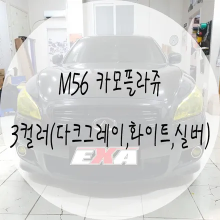 [EXA][대구랩핑] M56 전체랩핑 M56카모플라쥬 랩핑 카모랩핑 3컬러 실버/다크그레이/화이트 / 대구 달성군 화원읍