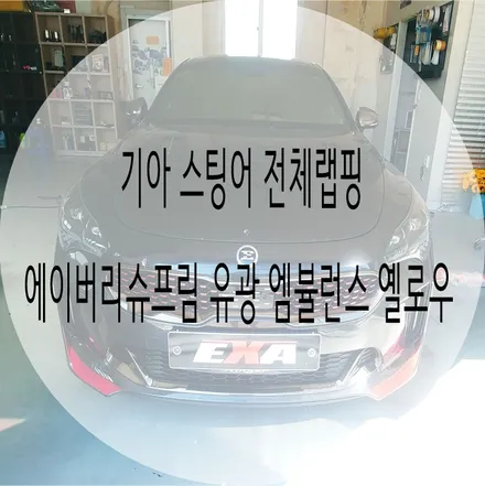 [EXA][대구랩핑전문] 기아 스팅어 전체랩핑 + 루프스킨 + 부분랩핑 시공 / 대구 달성군 화원읍