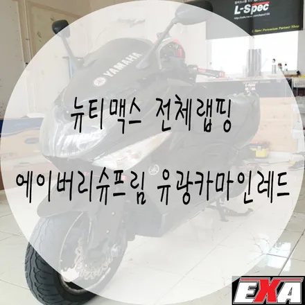 [대구랩핑] 뉴티맥스 전체랩핑 / 뉴티맥스랩핑 뉴티맥스튜닝 뉴티맥스부분랩핑 뉴티맥스라이트필름 EXA / 대구 달성군 화원읍