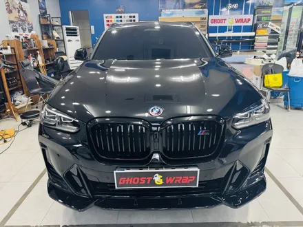 BMW X4 | 라이트 PPF(변색) 시공 / 고양 일산 덕양구
