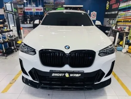 BMW X4 |  루프 블랙PPF·라이트PPF·휀다덕트·엠블럼·사이드미러 교체까지 풀패키지 / 고양 일산 덕양구