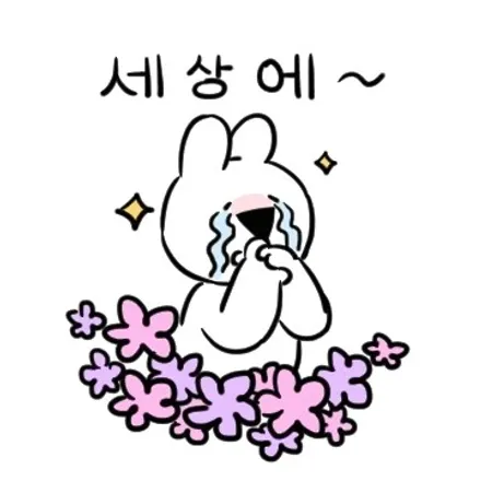현대 쏘나타 |  루프스킨 랩핑 제거 후 재시공 | 고양랩핑/일산랩핑/파주랩핑/강서랩핑/은평랩핑 / 고양 일산 덕양구