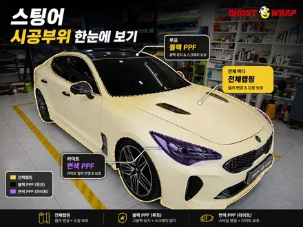 [일산 랩핑] 스팅어 전체랩핑 + 루프 블랙 PPF + 라이트 광변색 PPF 풀패키지 / 고양 일산 덕양구