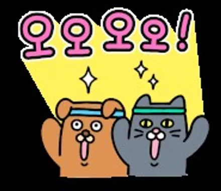 QM6 보험 수리 랩핑 (크롬죽이기 재시공 및 본넷 포인트 랩핑) _ 서울랩핑. 경기랩핑. 고양랩핑.일산랩핑.덕양구랩핑.파주랩핑. 덕은지구랩핑.향동랩핑.행신동랩,마포랩핑,은평랩핑 / 고양 일산 덕양구