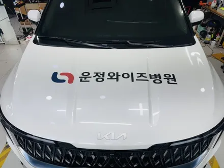 카니발 광고랩핑, 광고 효과를 높여보세요! 서울 은평 수색 랩핑샵에서~ / 고양 일산 덕양구