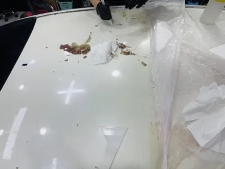 K5 루프스킨 재시공: 쩍쩍 갈라진 필름 제거부터 새 루프스킨까지! 지옥의 제거 과정 전격 공개 | 일산 파주 고양 고스트랩 / 고양 일산 덕양구
