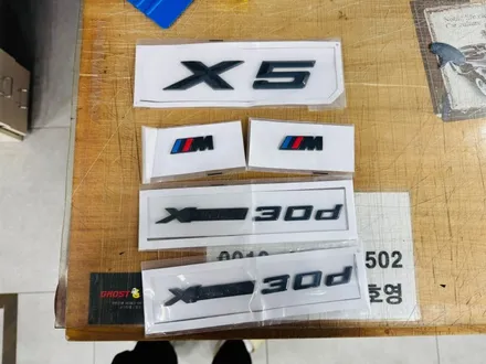 BMW X5, 라이트 보호 + 레터링 새 단장! 은평/상암 랩핑은 역시 고스트랩! / 고양 일산 덕양구