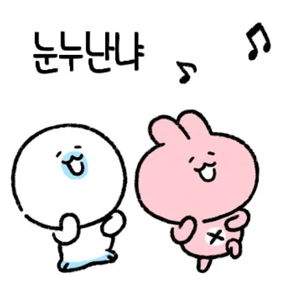고스트랩(Ghostwrap) 로체 이노베이션 루프스킨 / 고양 일산 덕양구