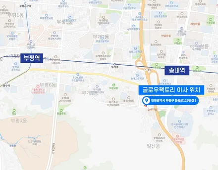 모하비더마스터 순정형 무드등! 동호회 인기 인천 엠비언트 / 전주 덕진구 장동