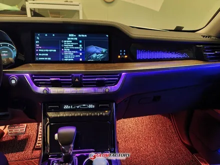 모하비 더마스터 전주 엠비언트 잘하는곳에서 실내 분위기 반전 효과 / 전주 덕진구 장동
