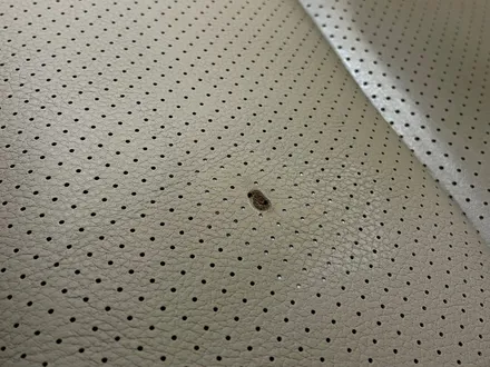 담배로인한 자동차 구멍난 타공시트복원 포르쉐 파나메라 / 과천 삼부골로