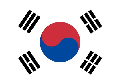 스타리아 도어컵+도어엣지+트렁크리드 PPF 시공기 / 대구 북구 칠성동