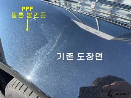 모델Y 본넷PPF 하길 정말 잘했어요 / 대구 북구 칠성동