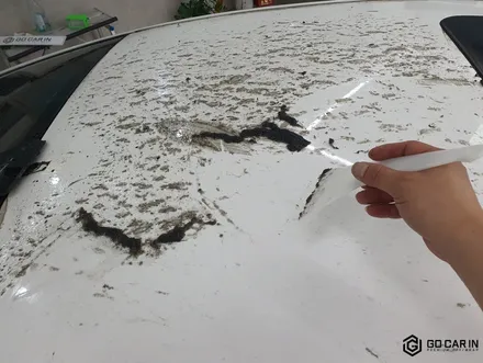 루프스킨 제거 아반떼md 역대급 후기 / 대구 북구 칠성동
