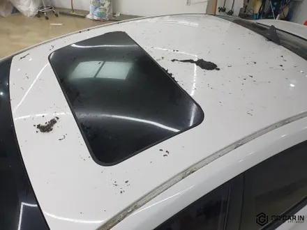 루프스킨 제거 아반떼md 역대급 후기 / 대구 북구 칠성동