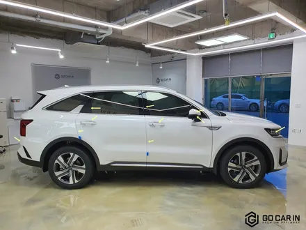 대구PPF 신차라면 무조건 필수 / 대구 북구 칠성동