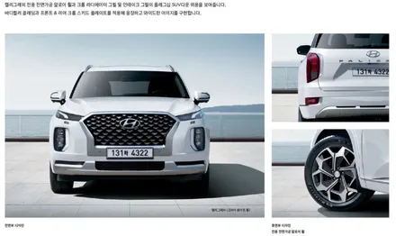 펠리세이드 크롬죽이기 전문샵에서 해야하는 이유 / 대구 북구 칠성동