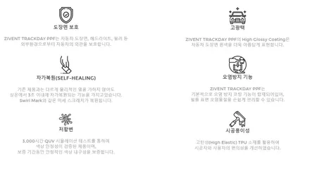 모델Y 본넷PPF 하길 정말 잘했어요 / 대구 북구 칠성동
