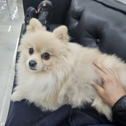 광주 실내랩핑 우드랩핑은 고카팩토리에서 / 광주 북구