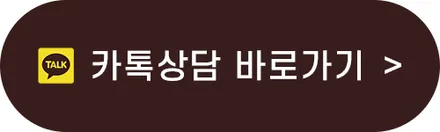 스팅어 루프스킨 블랙ppf 로 순정보다 순정같이 / 기아 / 스팅어 / 광주 북구