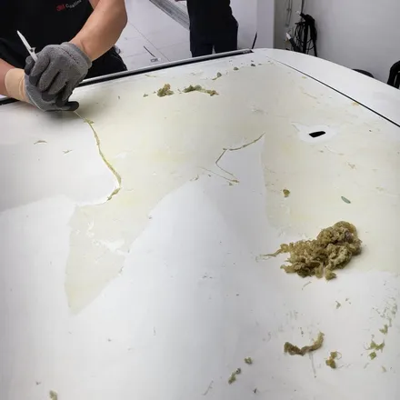 [고카팩토리]광주투톤랩핑 티볼리 투톤랩핑  재시공 / 랩핑 주기를 잘 지켜야하는 이유 必 / 광주 북구