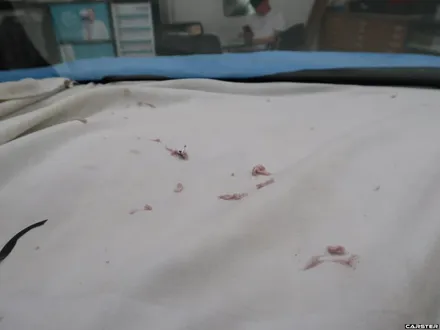 부천썬팅 그랜저ig 기존의 썬팅지를 제거하고 새 옷을 입히다 *카스터모터스 / 경기 부천