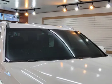 팰리세이드 크리미 화이트 펄 색상 어울리는 썬팅 / 경기 부천