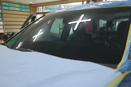 팰리세이드 타이가브라운 색상 신차패키지 넥스가드 TP400, 파인뷰 LX2000 / 경기 부천