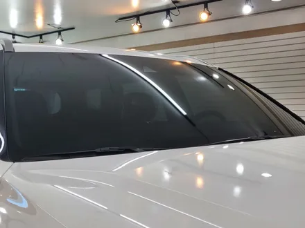 팰리세이드 화이트크림 색상 적합한 시흥 인천 광명 신차패키지 / 경기 부천