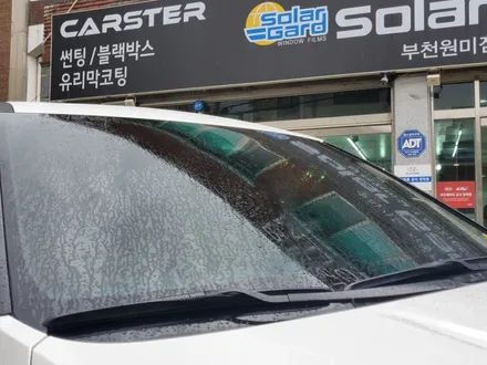 올뉴카니발 스노우화이트펄 색상 신차패키지 시공기 / 경기 부천