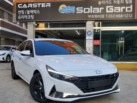 아반떼CN7 썬팅 글라스틴트 우리 잘 어울려요 / 경기 부천