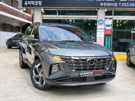 투싼 NX4 썬팅 칼트윈 인기가 많아요 / 경기 부천