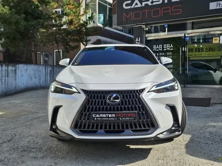 부천 PPF 렉서스 NX350h 생활 보호 필수야 / 경기 부천